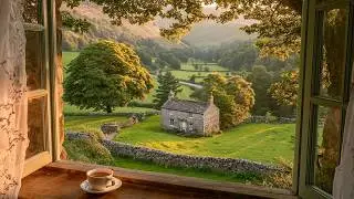 dreamy countryside morning 🍃 a soft playlist for reading, studying or writing