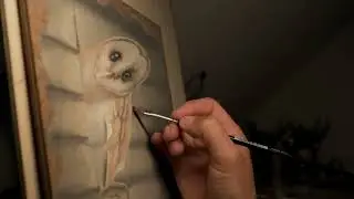 Realistische 3D-Eule – Anamorphes Kunstwerk, das aus der Wand schaut! 🦉✨