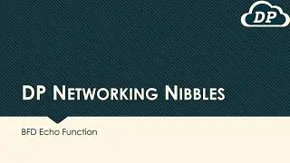 DPNN Ep.02 - BFD Echo Function (Bidirectional Forwarding Detection Echo Function)
