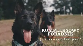 CZY ROZUMIESZ SWOJEGO PSA? - PORADNIK - KRZYSZTOF TATAR