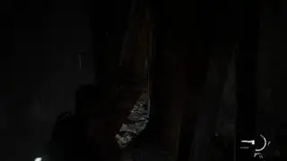 Abby's close encounter