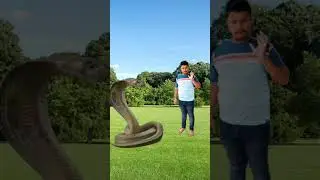 vfx effects|visual effects| blender vfx|vfx green screen effect|vfx after effect,