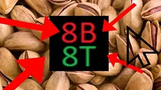 8b8t.xyz in a nut shell