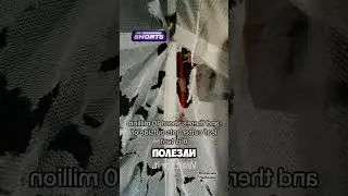 Жуть наяву 😳
