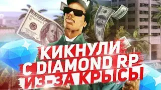 Кикнули с Diamond RP из-за Крысы - GTA SAMP