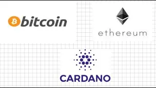 Get Started With Crypto!