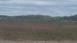 Peugeot 206 top speed