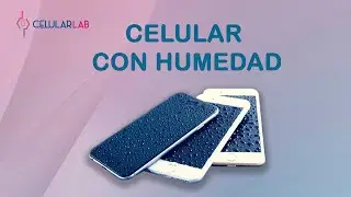 Cómo secar un celular mojado