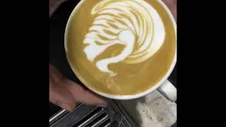 Not bad,, Lattee art