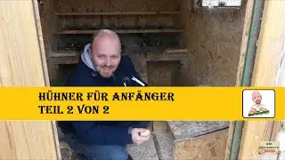 Hühner für Anfänger Teil 2 von 2