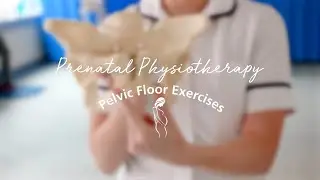 Prenatal Physiotherapy:  Pelvic Floor Exercises