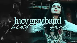 lucy gray baird | bird set free [tbosas]
