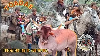Toadas Pra Ser Vaqueiro Precisa Vestir Gibão - Pega de Boi e Cultura, Vaqueiro Cavalo e Boi