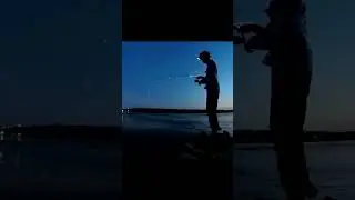 МОЩНЫЙ СУДАК С БЕРЕГА  #fishing #bigfish #рыбалка