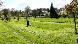 Stop Mowing Your Lawn   Convert your lawn to Trees and Shrubs