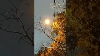 Жил был художник один...🌿