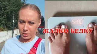 ИТАЛИЯ. МОИ БУДНИ. В ИТАЛИИ ЖАРА.