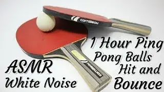 ASMR|No Talking•1 Hour Ping Pong Balls Hit and Bounce | White Noise for Relaxing，Sleeping，Studying