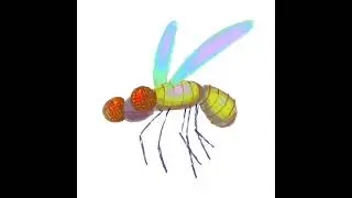 Mosquito
