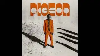 Pigeon - Ikanabore