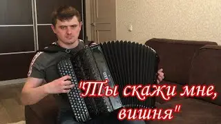 «Ты скажи мне, вишня» 🎶 Песня под баян. 🎶 Баянист Иван Адыбаев. 🎶