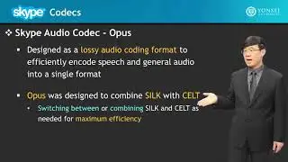 4.2 Skype Codecs - AR (Augmented Reality) & Video Streaming Services Emerging Technologies