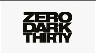 Zero Dark Thirty Movie Review (Spoiler Free)