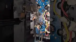 BlackBee 1000