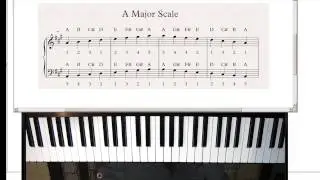 How to Play the A Major Scale on Piano - Learn to Play Piano - Tutorial Lesson 32