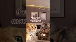 А ты мне изменяешь? #отношения #измена