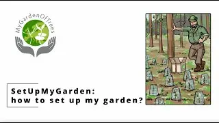 MyGardenOfTrees: how to set up my garden?