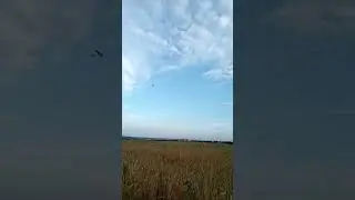 SkyHunter тест перед работой