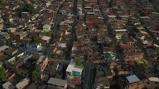 REFLECTIONS IN THE PARK | Trailer 4