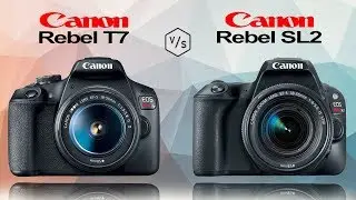 Canon Rebel T7 (EOS 2000D) vs Canon Rebel SL2 (EOS 200D)