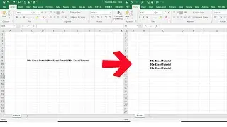 How to force text to appear on a new line within a cell       in Excel