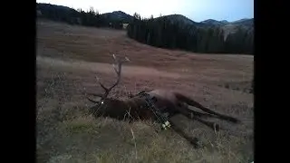Idaho Elk Hunt 2018