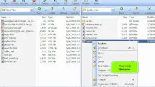FTP - Managing files in FTP Voyager
