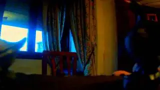 Pato pato pato, adivina que sigue...