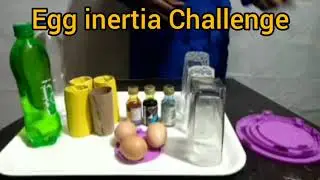Egg Inertial Experiment