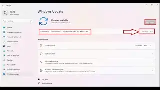 How to install  Microsoft.NET.Framework 4.8.1 for Windows 11 for X64 (KB5011048)