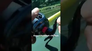 Grass + Jackhammer = Big Bass! 
