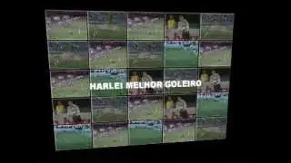 Harlei - Melhor Goleiro do Mundo.