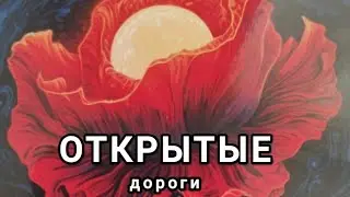 ОТКРЫТЫЕ ДОРОГИ 🪇🪼