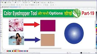 How to Use the Color Eyedropper Tool in CorelDRAW - Easy Tutorial