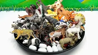 Animal Collection In The Black Tray | Safari Farm Animals, Ocean Sea Animal,Dinos