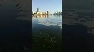 Загрязнение Водоема Ишим в городе Астане