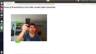 Demo of TensorFlow.js Coco SSD's model object detection