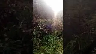 Как защитить?
