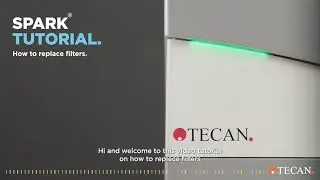 How to replace filters for the Spark® series