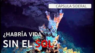 SE PUEDE VIVIR SIN EL SOL con @WikiSeba
